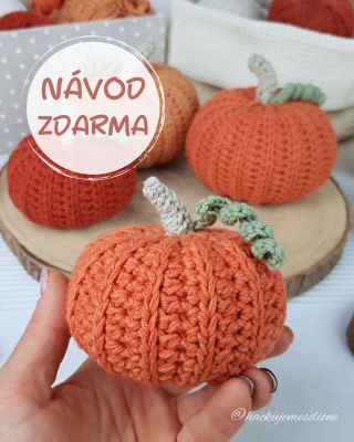 ❤️ Pojďme si společně vykouzlit podzimní atmosféru a uháčkovat si tyto rozkošné dýně. Přepracovala jsem loňský návod na...