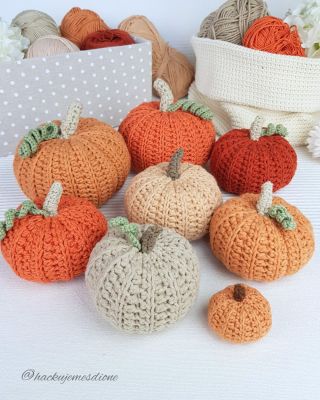 ❤️ Kolik dýní je hodně dýní? Já jich mám letos docela hodně. 😉 A kolik si jich uháčkujete vy? Nebo už máte nějaké z...